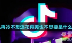 风再冷不想逃花再美也不想要是什么歌