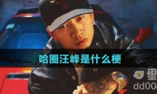 哈圈汪峰是什么梗