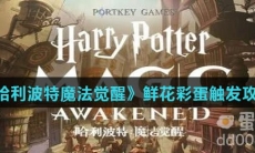 《哈利波特魔法觉醒》鲜花彩蛋触发攻略