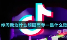 你问我为什么顽固而专一是什么歌