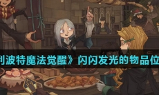 《哈利波特魔法觉醒》闪闪发光的物品位置一览