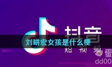 刘畊宏女孩是什么梗