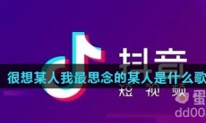 很想某人我最思念的某人是什么歌
