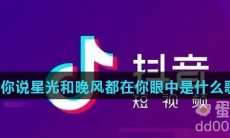 你说星光和晚风都在你眼中是什么歌