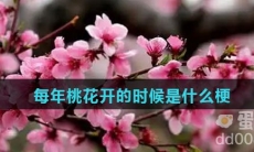 每年桃花开的时候是什么梗