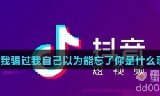 我骗过我自己以为能忘了你是什么歌