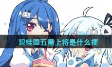 碧桂园五星上将是什么梗