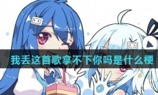 我丢这首歌拿不下你吗是什么梗