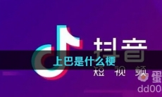 上巴是什么梗