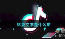 娇妻文学是什么梗