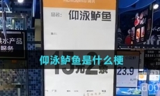 仰泳鲈鱼是什么梗