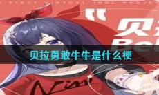 贝拉勇敢牛牛是什么梗