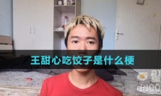 王甜心吃饺子是什么梗