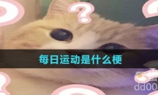 每日运动是什么梗