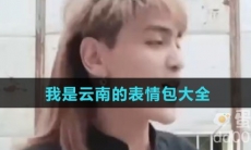 我是云南的表情包大全