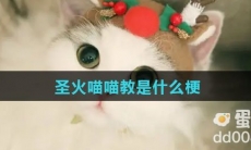 圣火喵喵教是什么梗