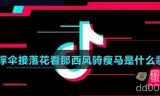 撑伞接落花看那西风骑瘦马是什么歌