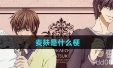 麦麸是什么梗
