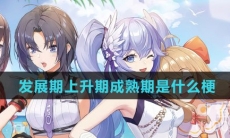 发展期上升期成熟期是什么梗