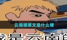 云南德莱文是什么梗
