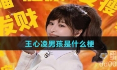 王心凌男孩是什么梗