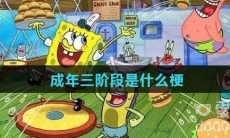 成年三阶段是什么梗