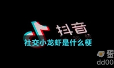 社交小龙虾是什么梗