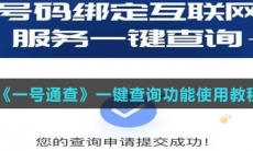 《一号通查》一键查询功能使用教程