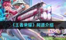 《王者荣耀》阿通介绍