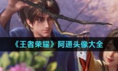 《王者荣耀》阿通头像大全