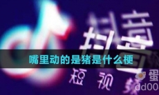 嘴里动的是猪是什么梗