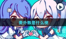 麦外敷是什么梗