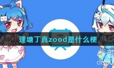 理塘丁真zood是什么梗