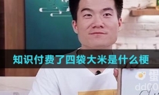 知识付费了四袋大米是什么梗