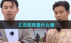 王迅找茬是什么梗