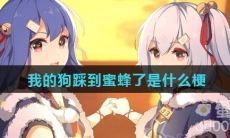 我的狗踩到蜜蜂了是什么梗