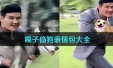 嘎子偷狗表情包大全