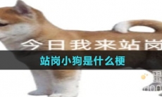站岗小狗是什么梗
