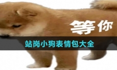 站岗小狗表情包大全