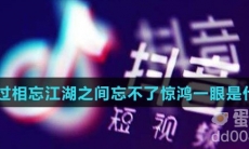 逃不过相忘江湖之间忘不了惊鸿一眼是什么歌