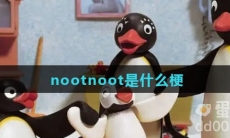 nootnoot是什么梗
