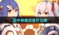 田中脊髓剑是什么梗