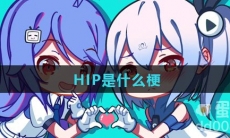 HIP是什么梗