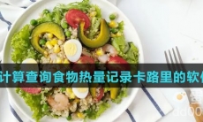 可以计算查询食物热量卡路里的软件盘点
