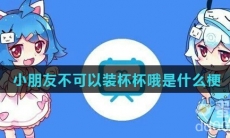 小朋友不可以装杯杯哦是什么梗