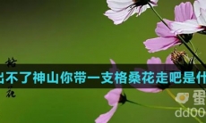 我出不了神山你带一支格桑花走吧是什么梗