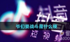 爷们要战斗是什么梗