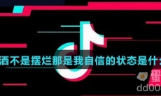 潇洒不是摆烂那是我自信的状态是什么歌