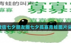 抖音微信朋友圈七夕孤寡青蛙图片头像大全