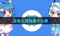 没有人懂我是什么梗